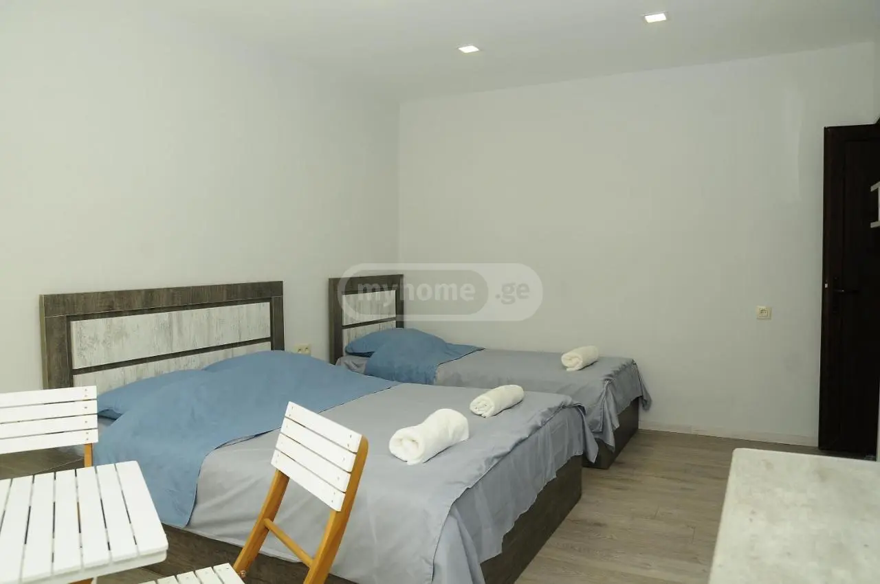 2 Room Hotel Daily Rent In Borjomi view 3