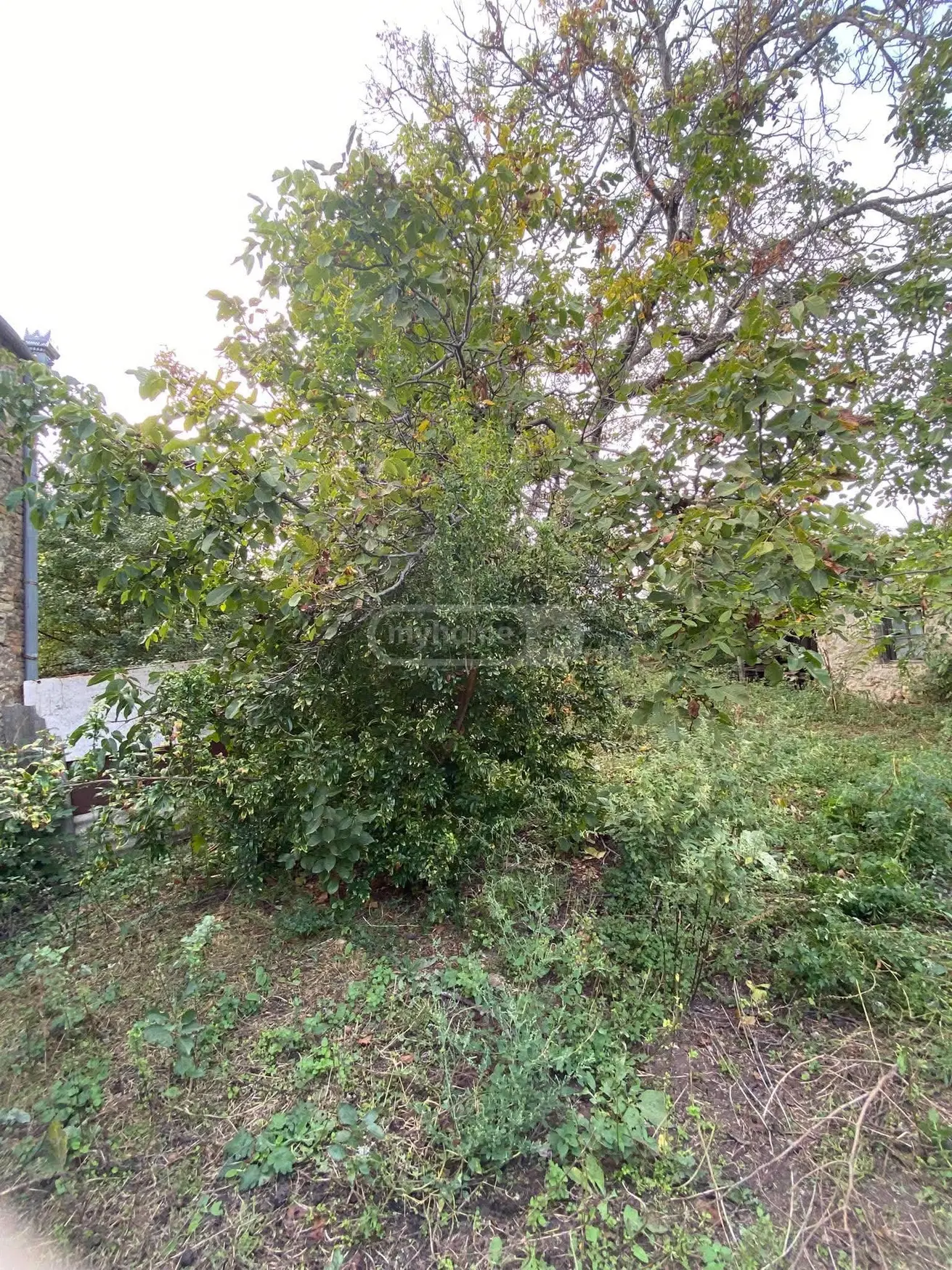 6 Room Private House For Sale view 7