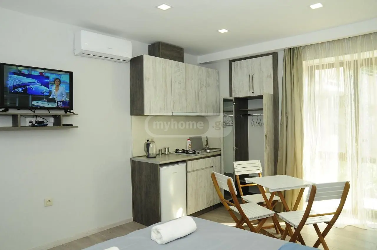 2 Room Hotel Daily Rent In Borjomi view 5