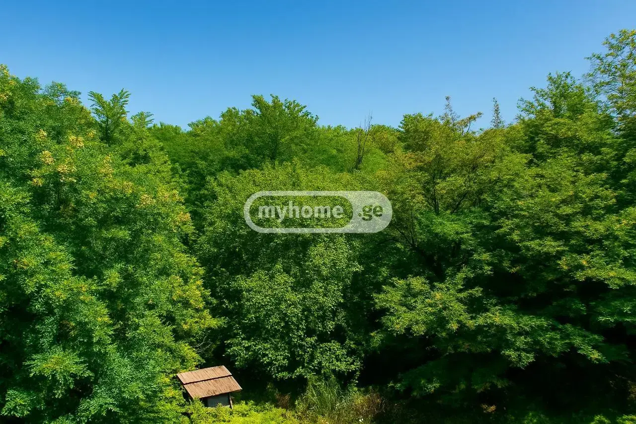 იყიდება 10+ Room Private House In Kvareliში view 12