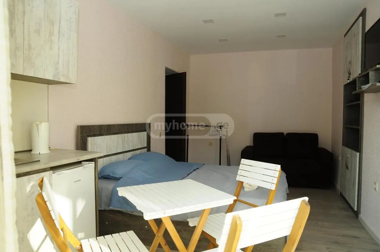 2 Room Hotel Daily Rent In Borjomi view 6