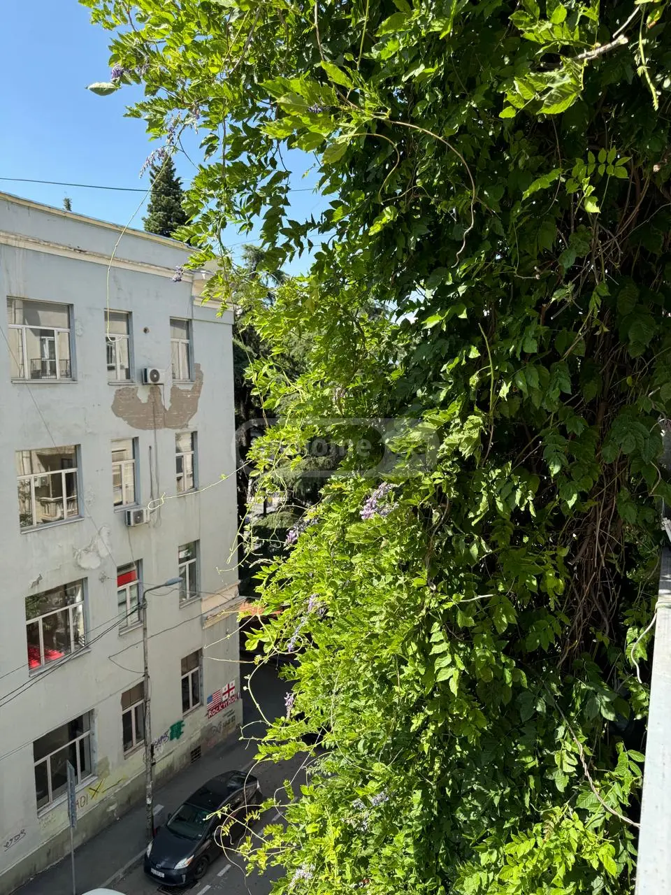 1 Room Apartment For Rent In Shindisi view 5
