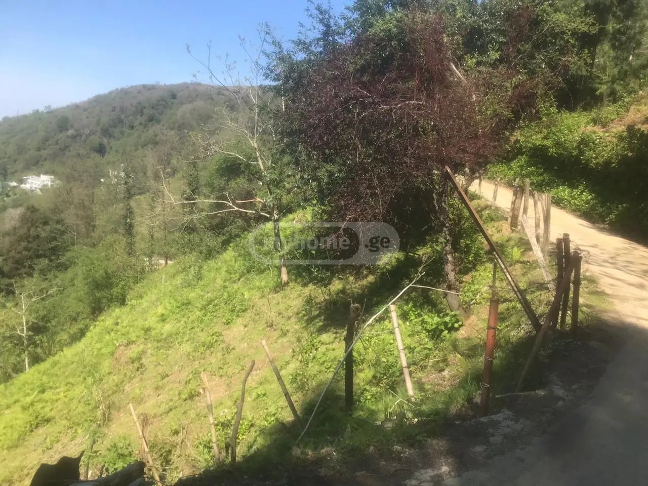 Agricultural Plot For Sale In Kvariati, In Khelvachauri Municipality view 4