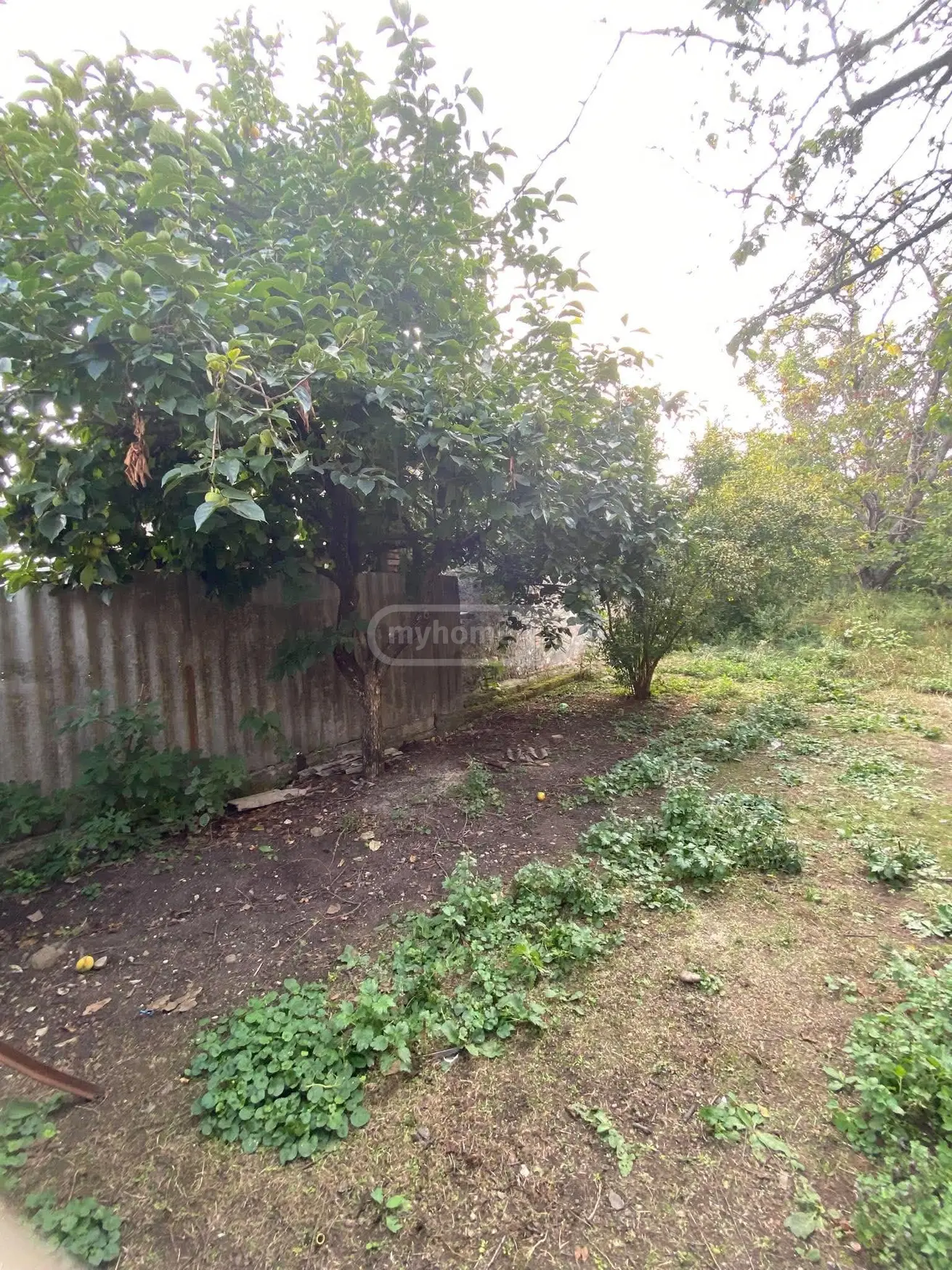 6 Room Private House For Sale view 4