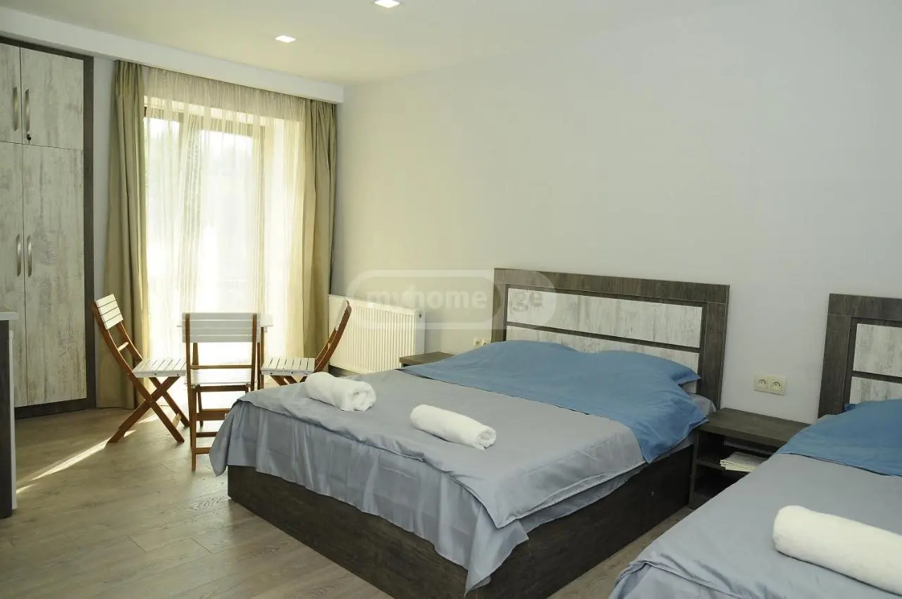 2 Room Hotel Daily Rent In Borjomi view 4