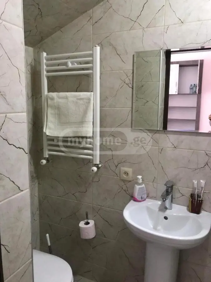 2 Room Hotel Daily Rent In Borjomi view 8