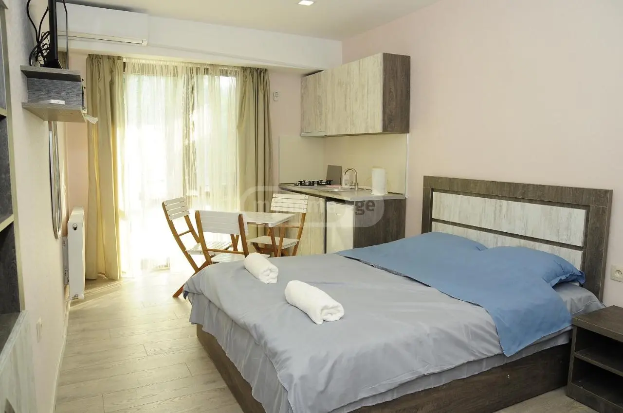 2 Room Hotel Daily Rent In Borjomi view 1