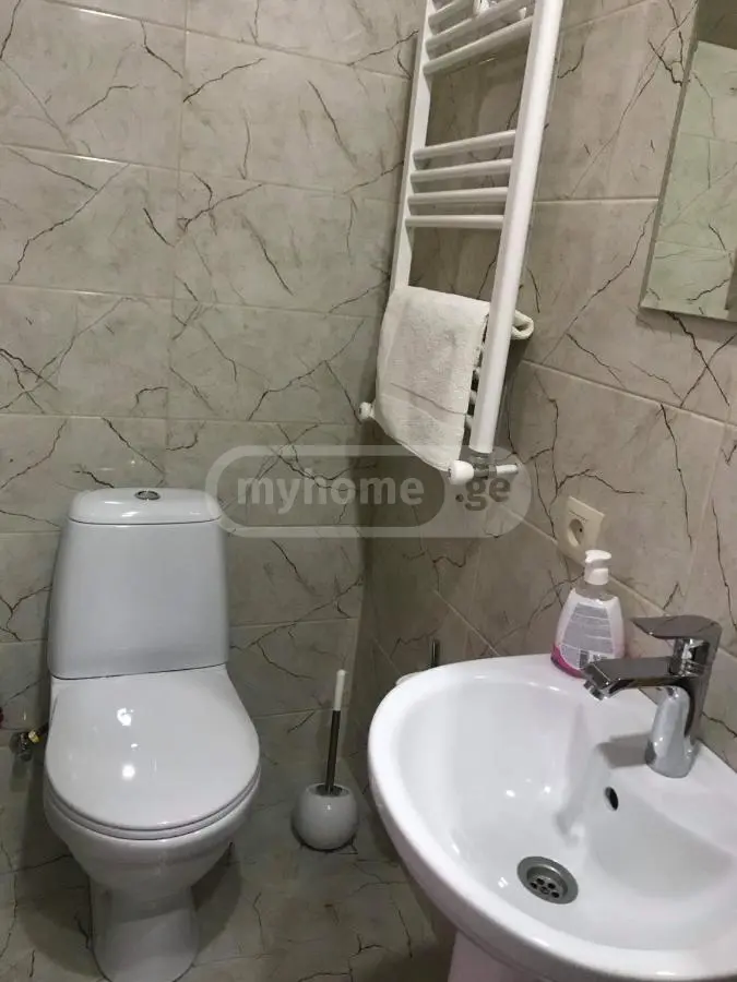 2 Room Hotel Daily Rent In Borjomi view 9