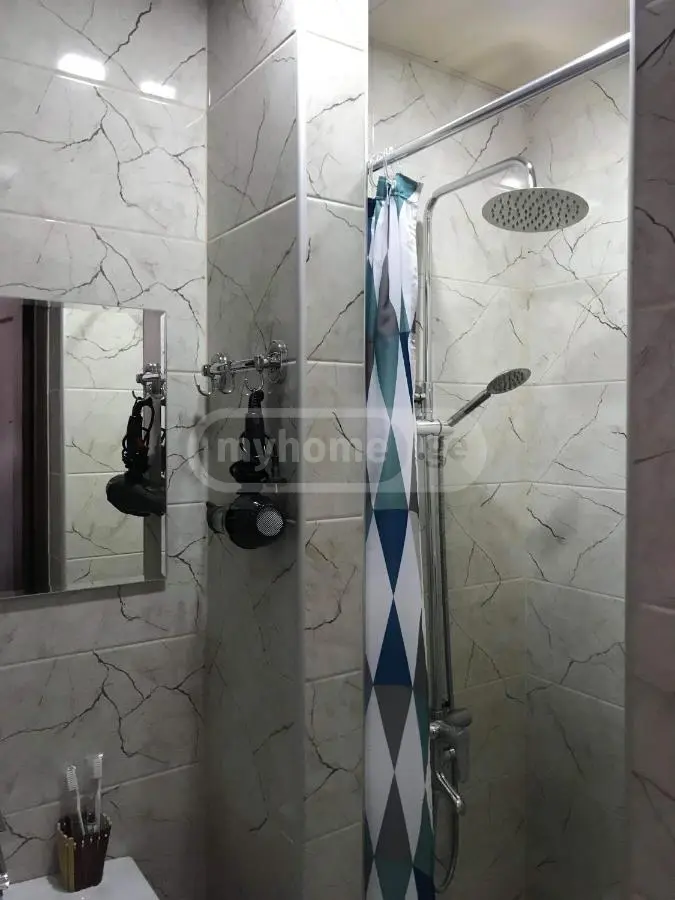 2 Room Hotel Daily Rent In Borjomi view 7