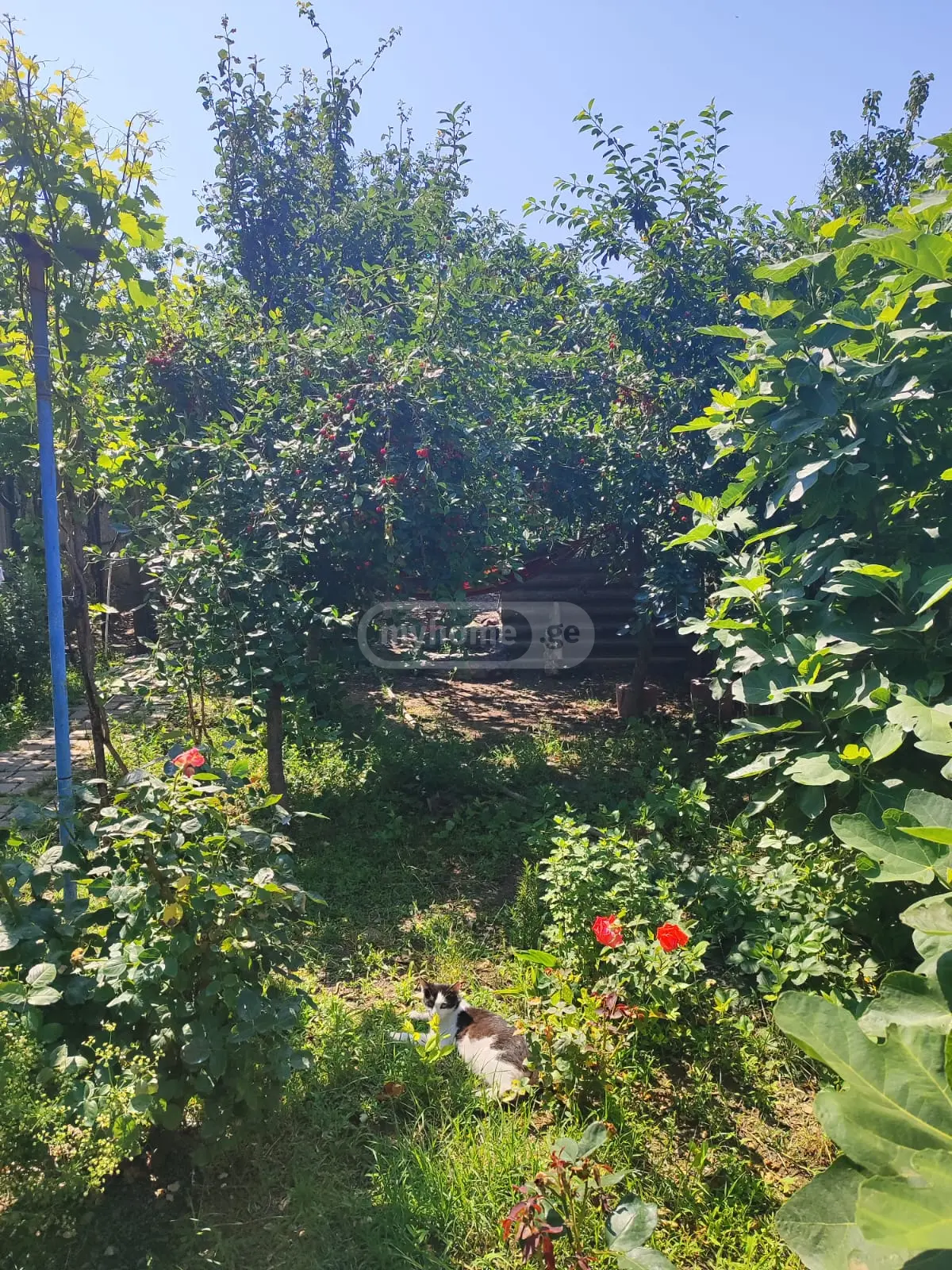 4 Room Private House For Sale view 7