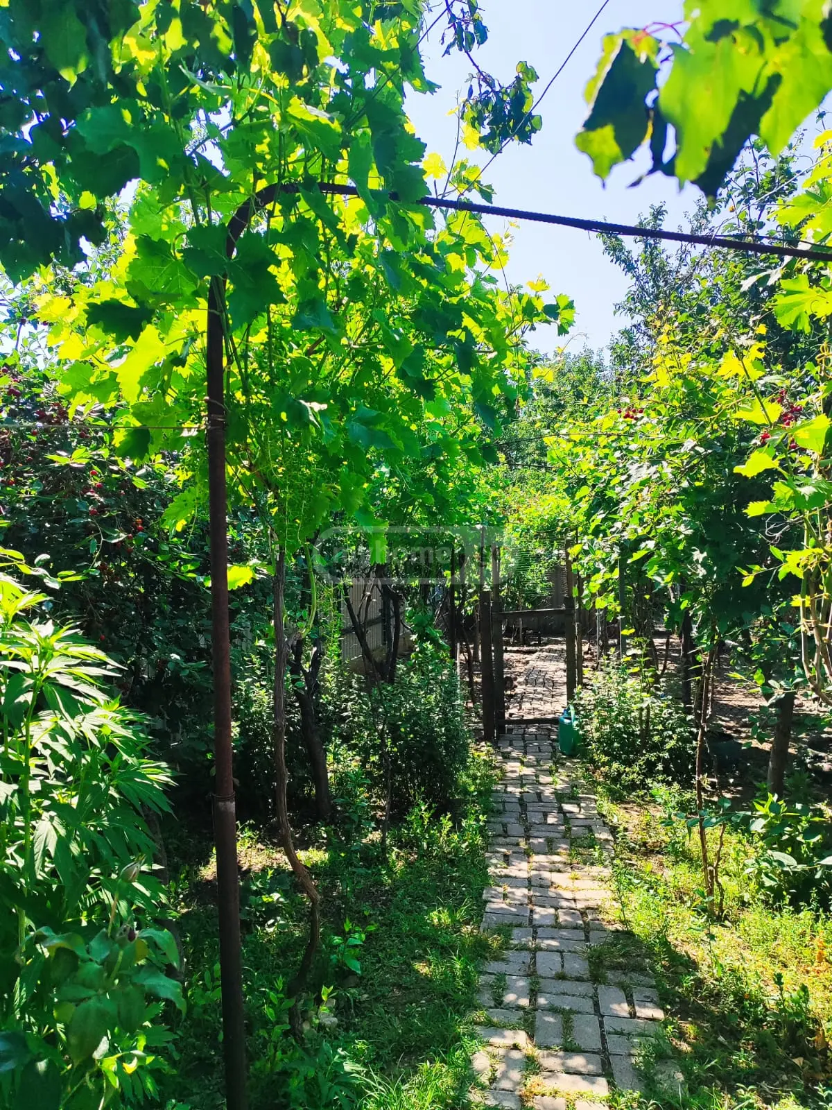 4 Room Private House For Sale view 8