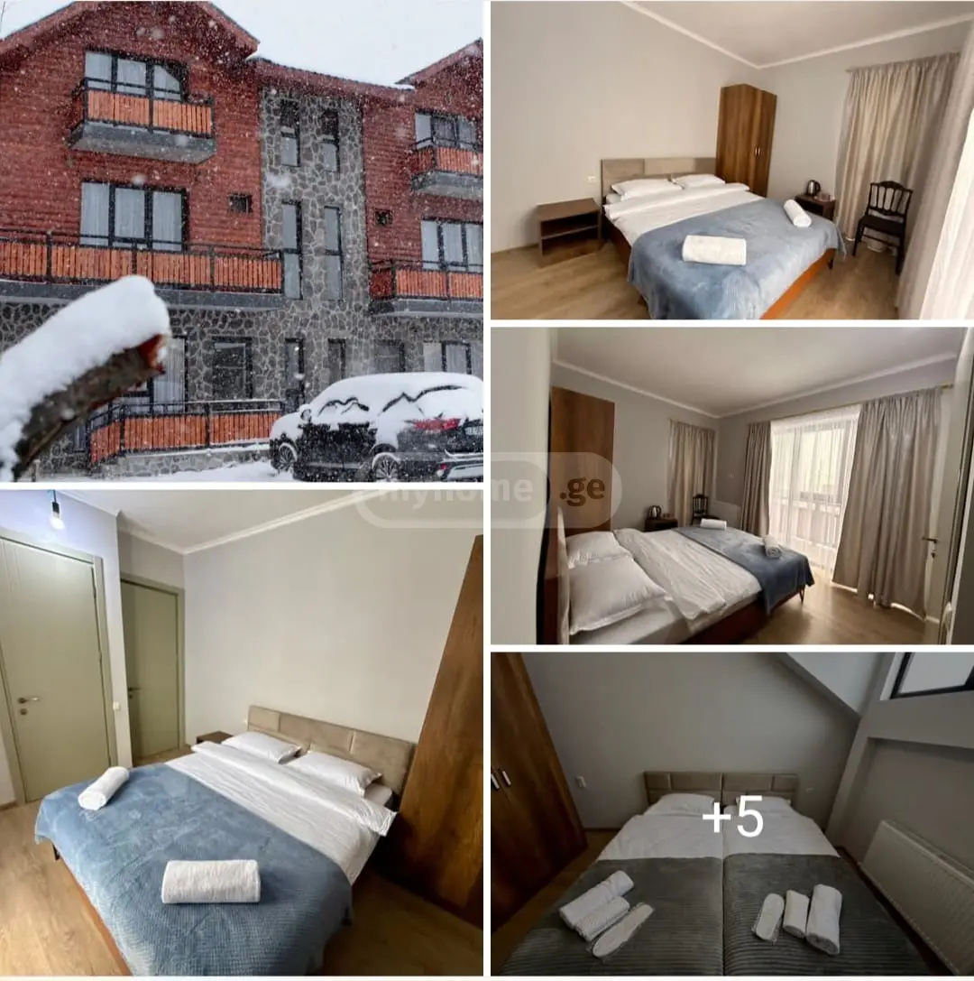 10+ Room Hotel For Rent In Bakuriani view 2