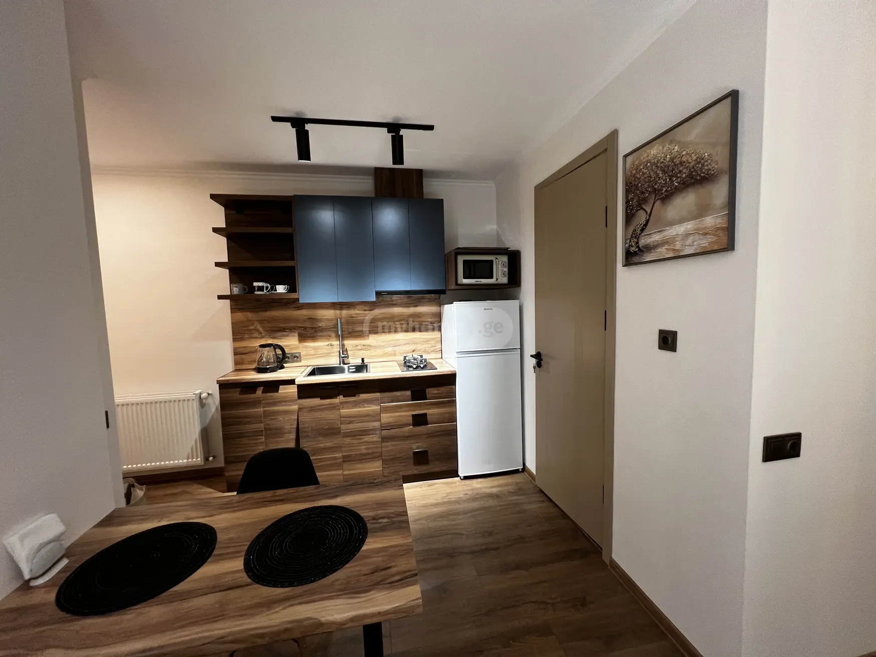 1 Room Apartment Daily Rent Mepetubani, In Qutaisi view 4