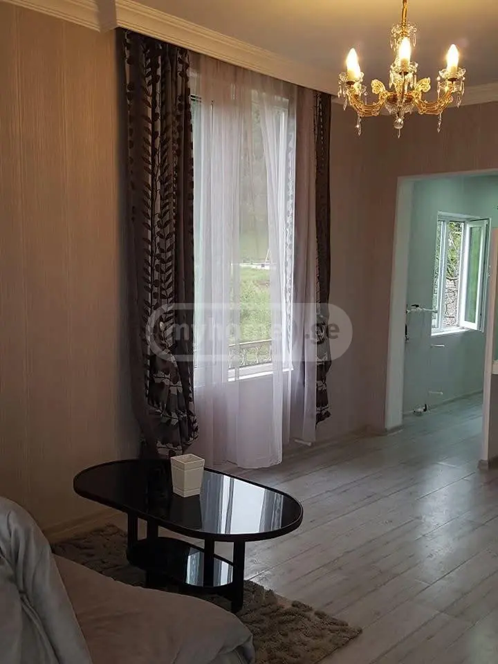 5 Room Apartment Daily Rent In Telavi view 8