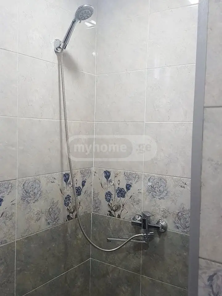 5 Room Apartment Daily Rent In Telavi view 6