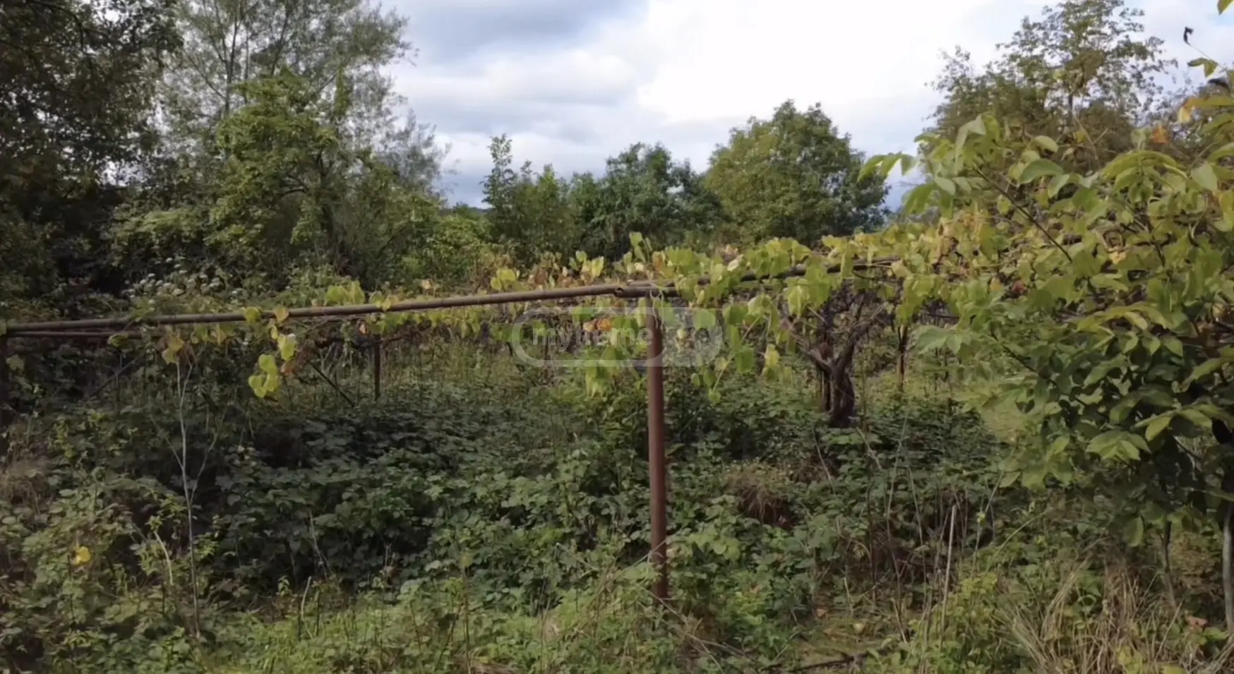5 Room Country House For Sale view 6