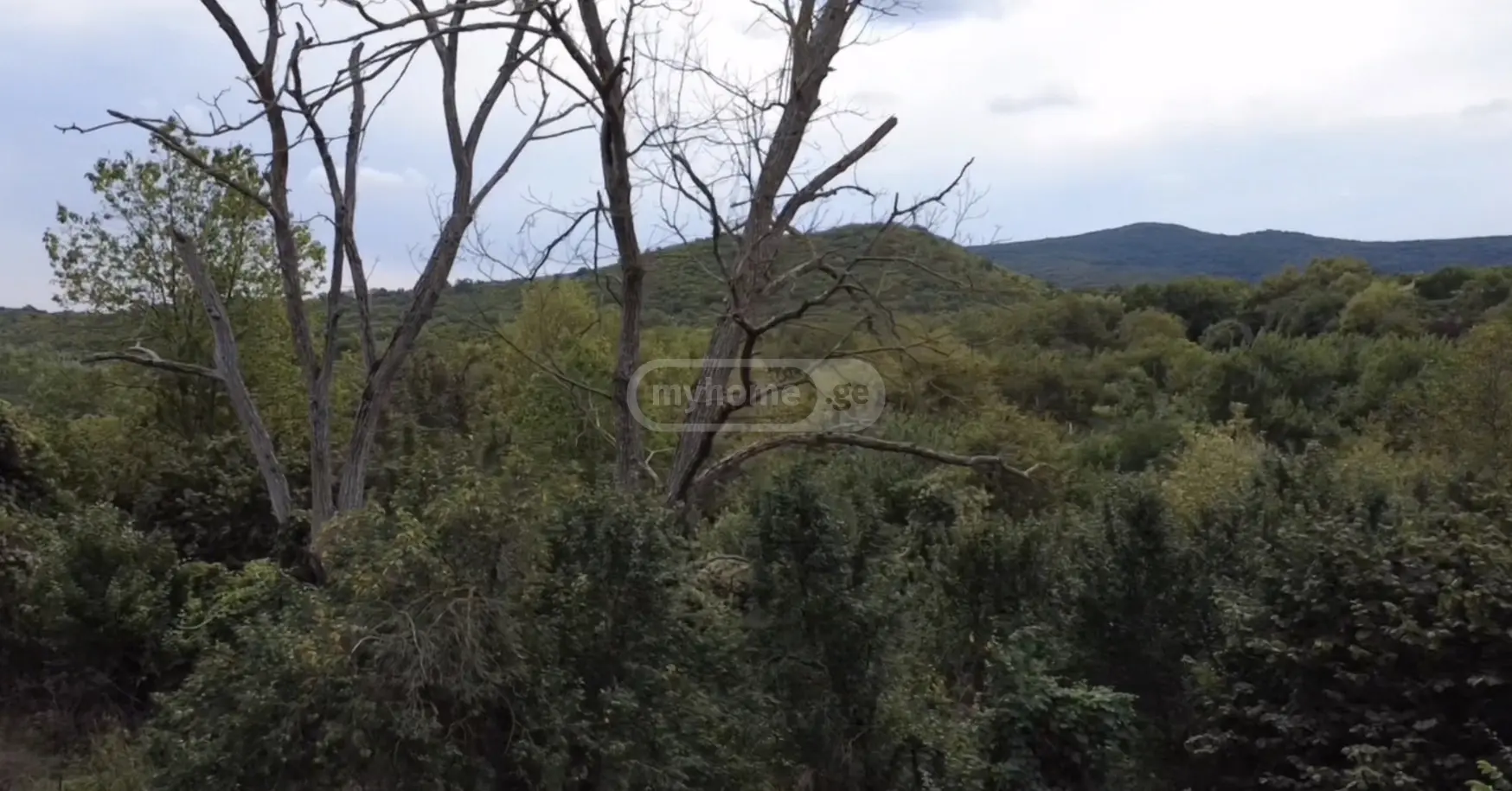5 Room Country House For Sale view 7