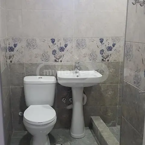 5 Room Apartment Daily Rent In Telavi view 14