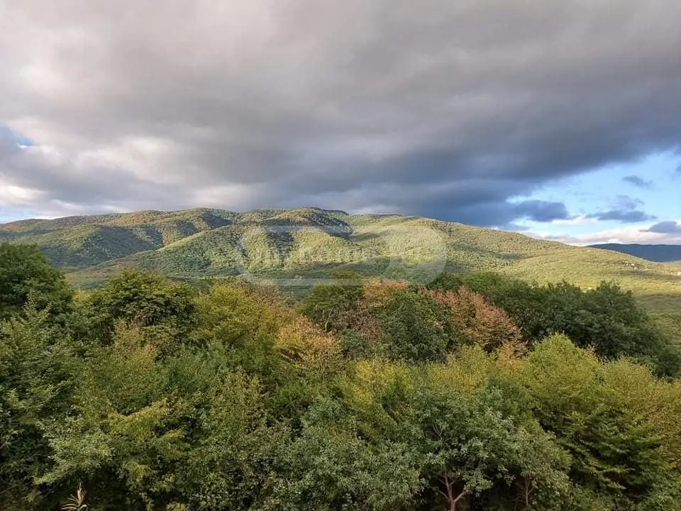 4 Room Private House For Rent In Akhatani, In Dusheti Municipality view 12