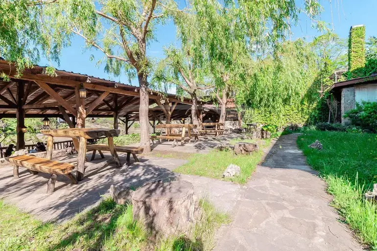 Food Object Commercial Area For Sale In Mtskheta view 15