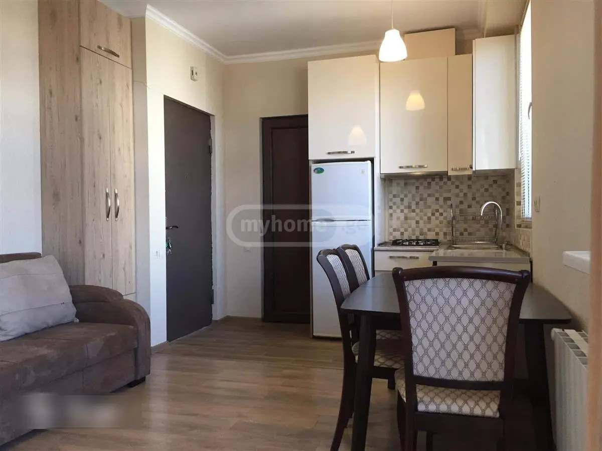 2 Room Apartment For Rent In Didube view 6