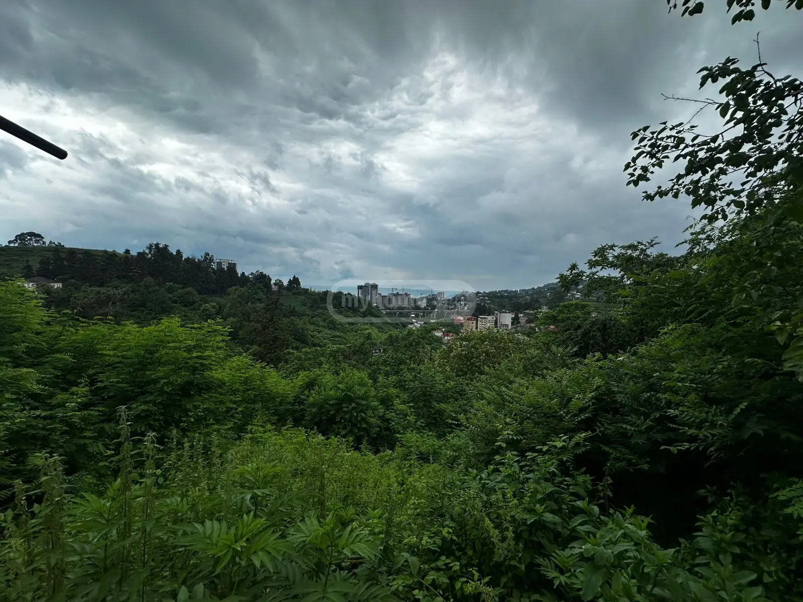 Agricultural Plot For Sale In Makhinjauri, In Batumi view 5