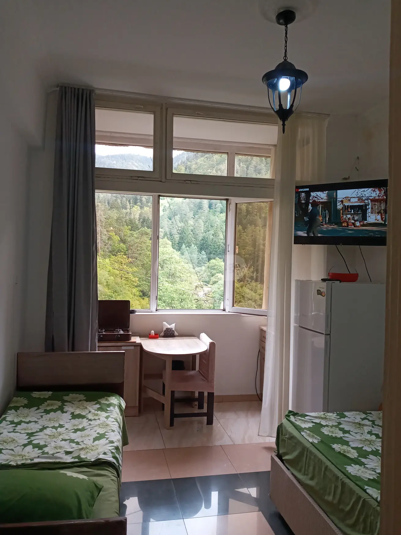 1 Room Apartment For Rent In Borjomi view 7