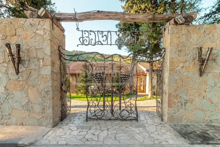 Food Object Commercial Area For Sale In Mtskheta view 3