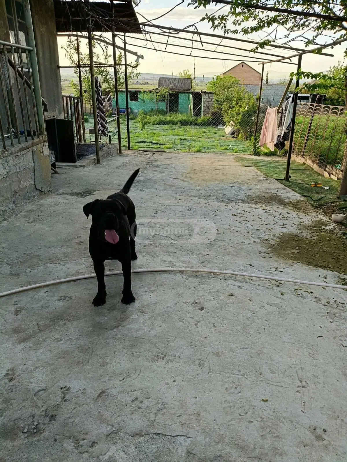 3 Room Private House For Sale view 14