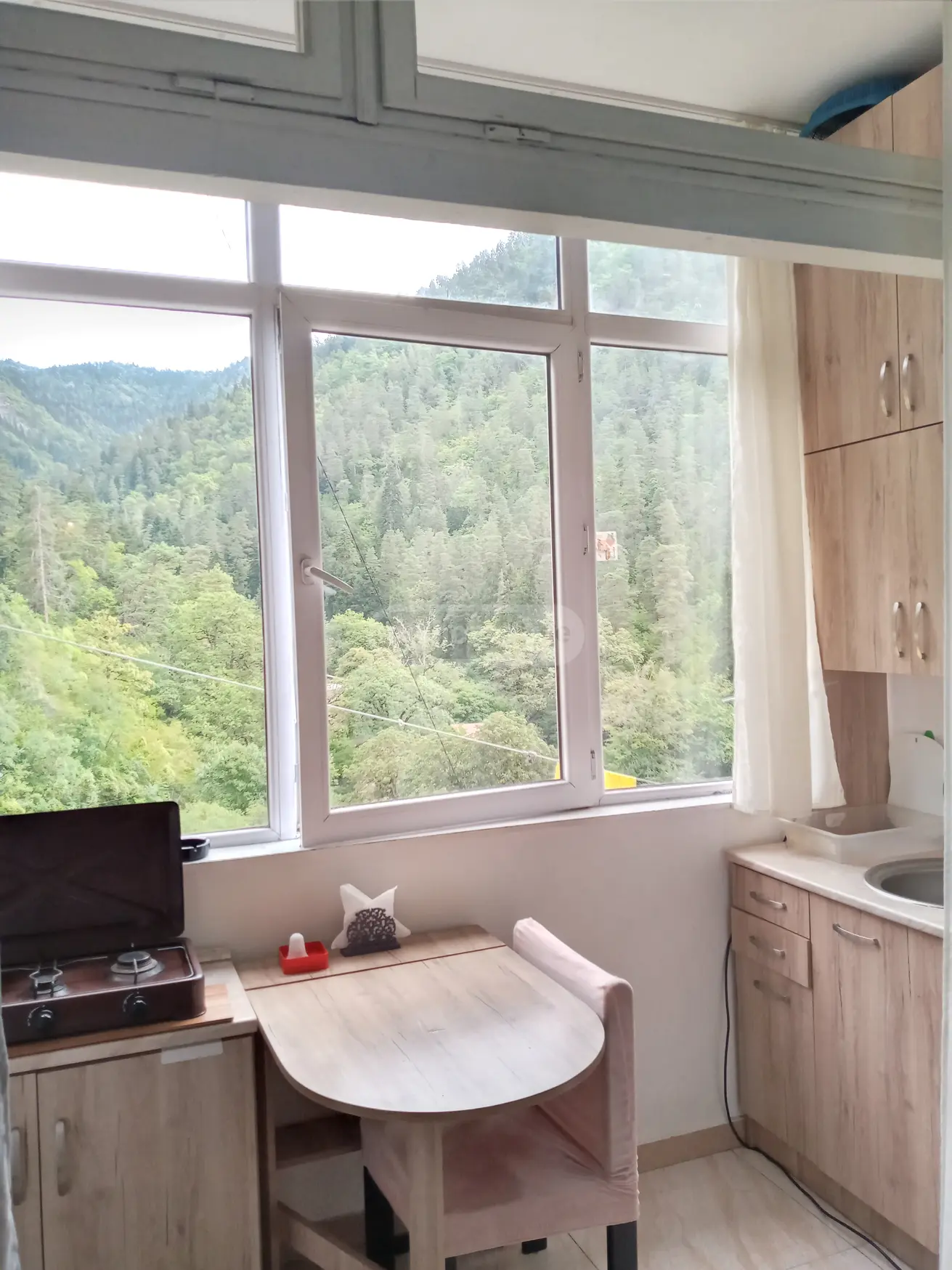 1 Room Apartment For Rent In Borjomi view 6