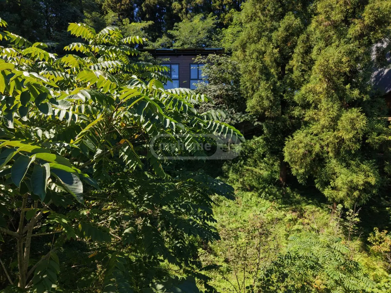 2 Room Country House For Sale view 3