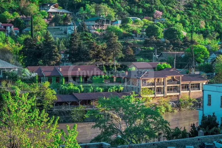 Food Object Commercial Area For Sale In Mtskheta view 2