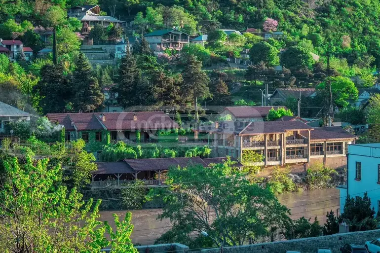 Food Object Commercial Area For Rent In Mtskheta view 1