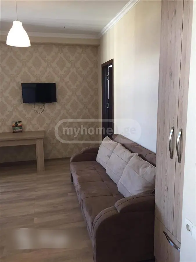 2 Room Apartment For Rent In Didube view 3