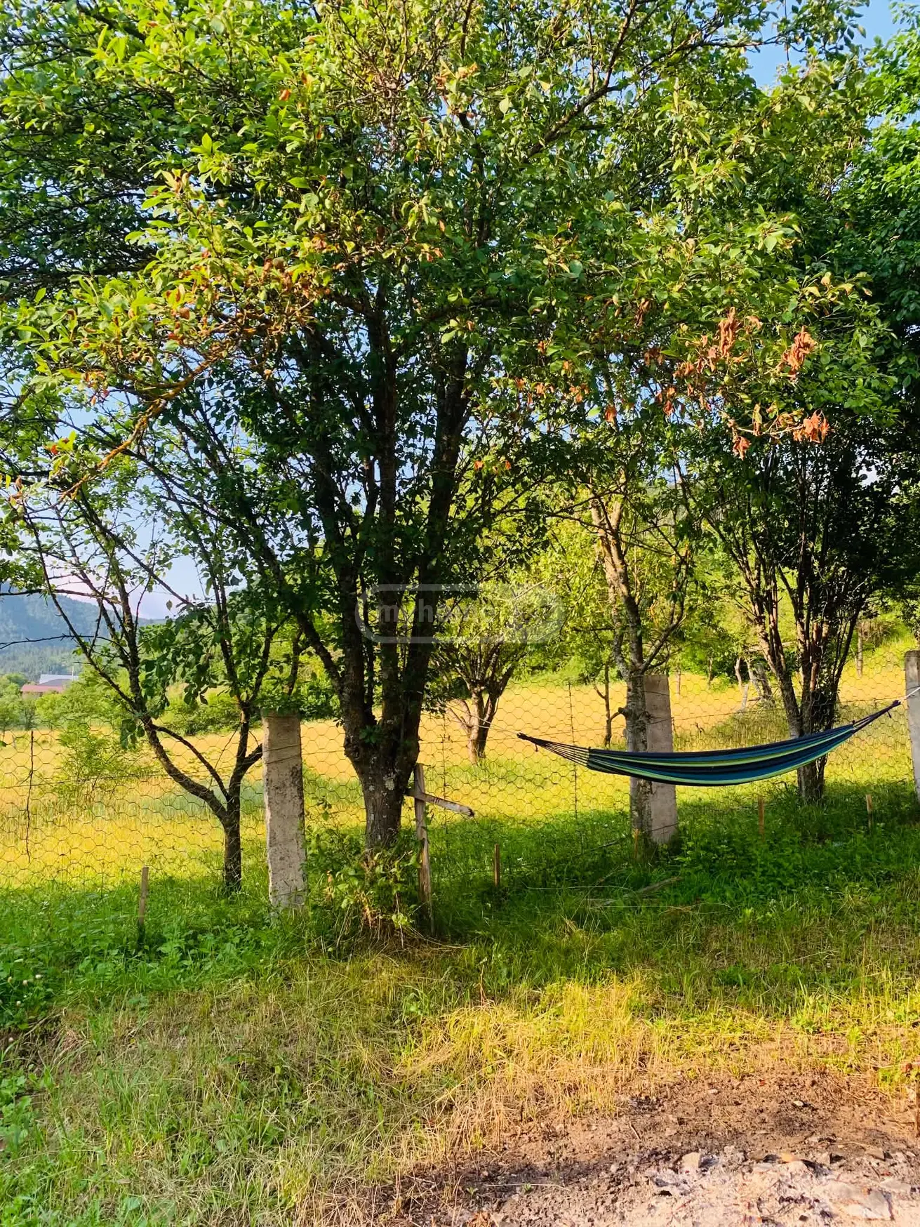 3 Room Country House Daily Rent In Borjomi view 5