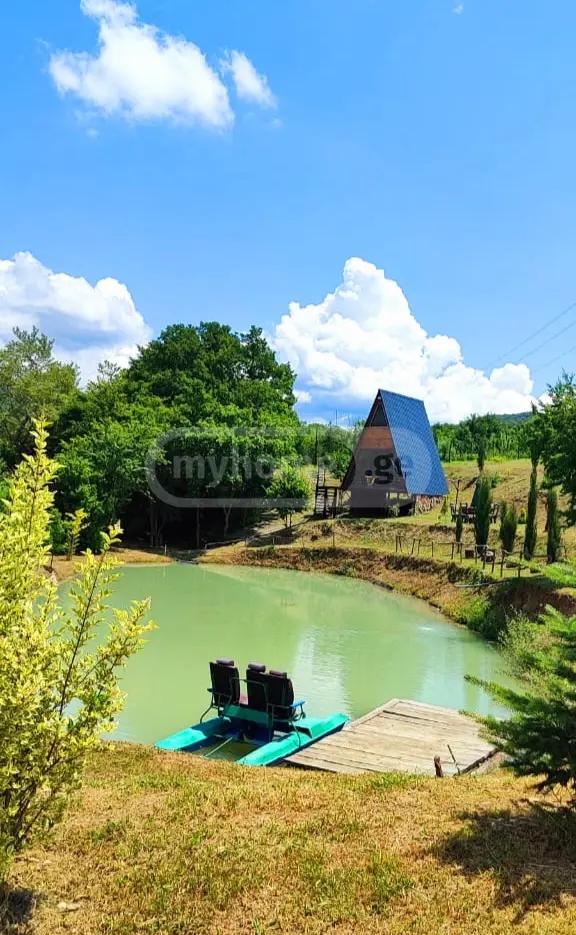 2 Room Country House Daily Rent In Saguramo, In Mtskheta Municipality view 3