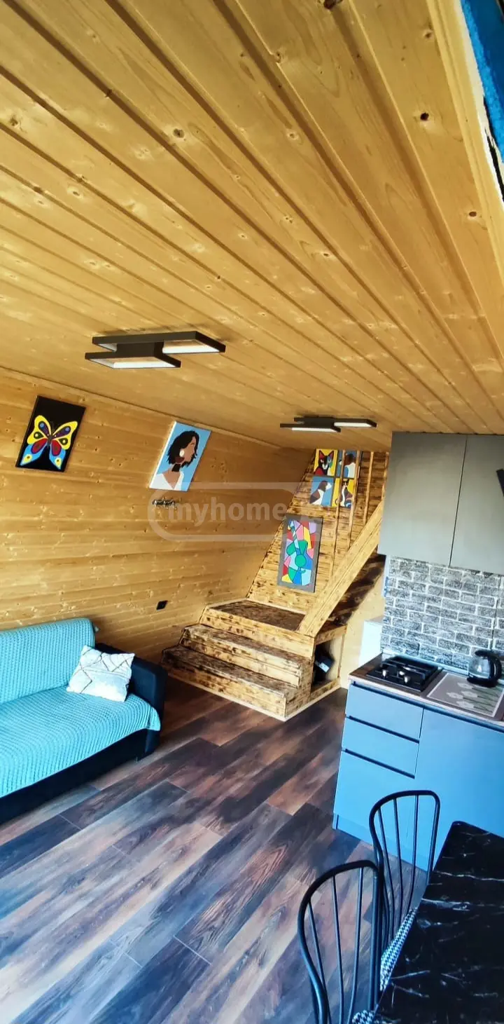2 Room Country House Daily Rent In Saguramo, In Mtskheta Municipality view 6