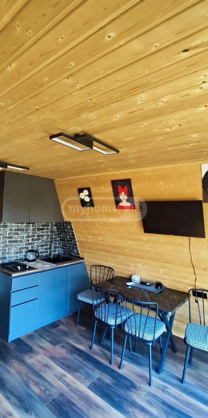 2 Room Country House Daily Rent In Saguramo, In Mtskheta Municipality view 5