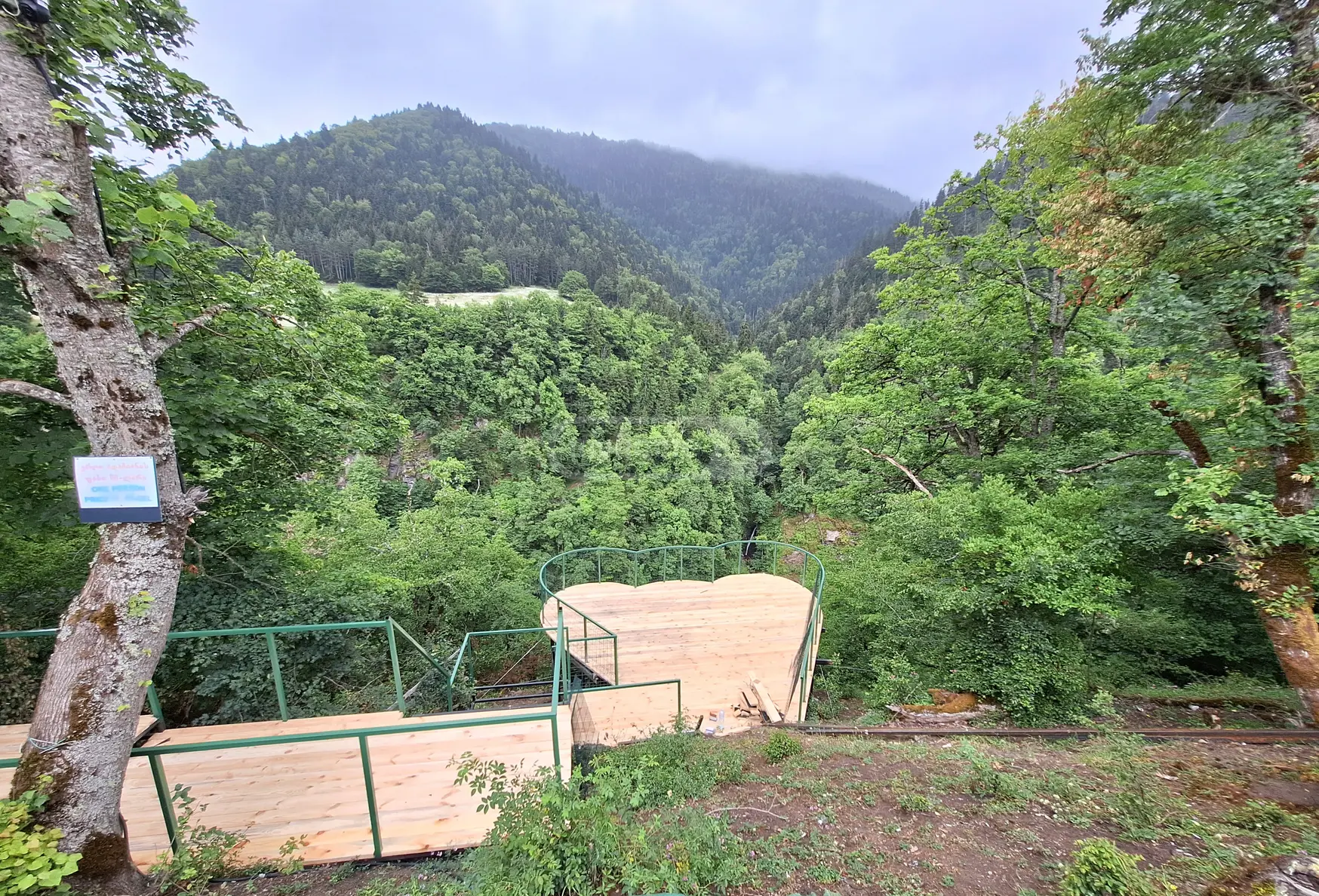 4 Room Country House Daily Rent In Borjomi view 10