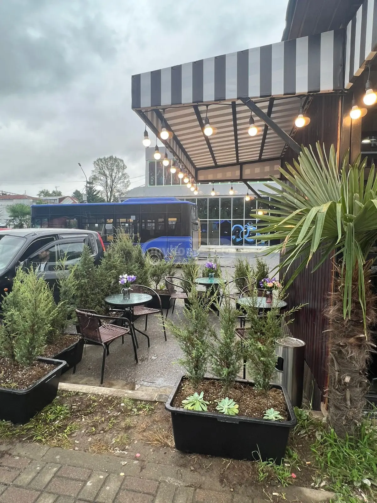Food Object Commercial Area For Sale In Kobuleti view 3