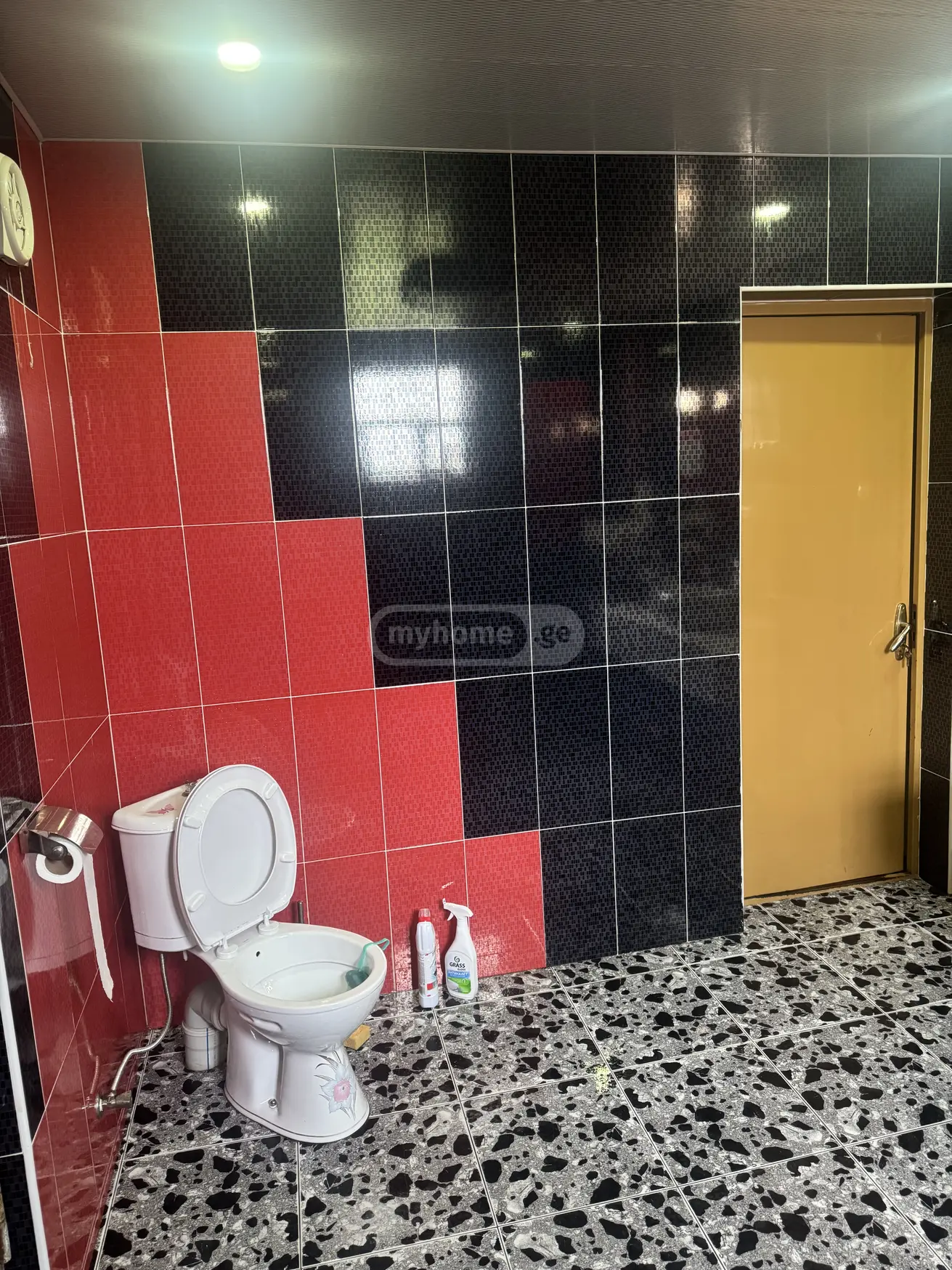 10+ Room Private House For Sale In Kvitiri, In Tskaltubo Municipality view 4