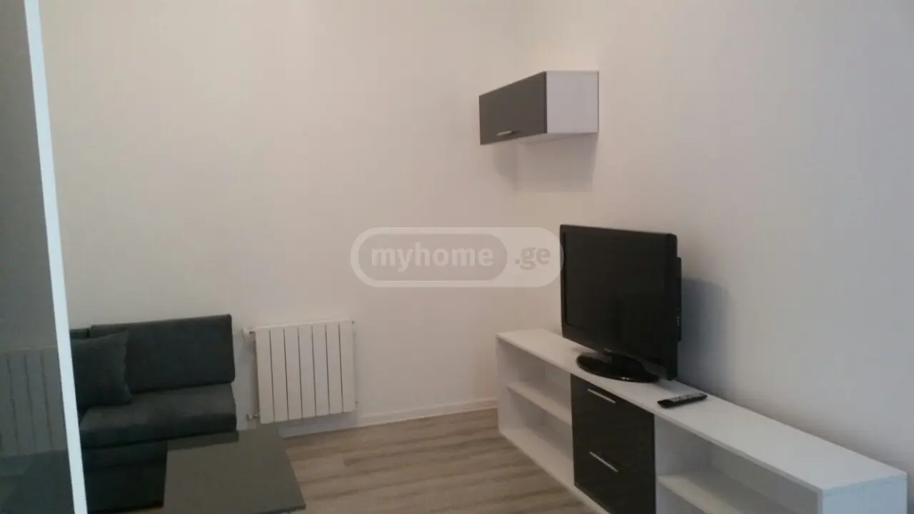 2 Room Apartment For Rent In Digomi view 7