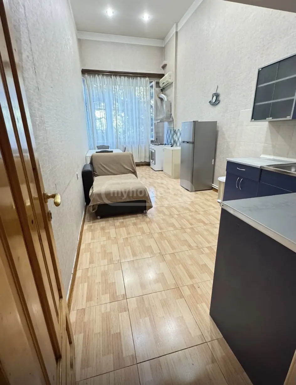 3 Room Apartment For Rent In Tabakhmela view 6