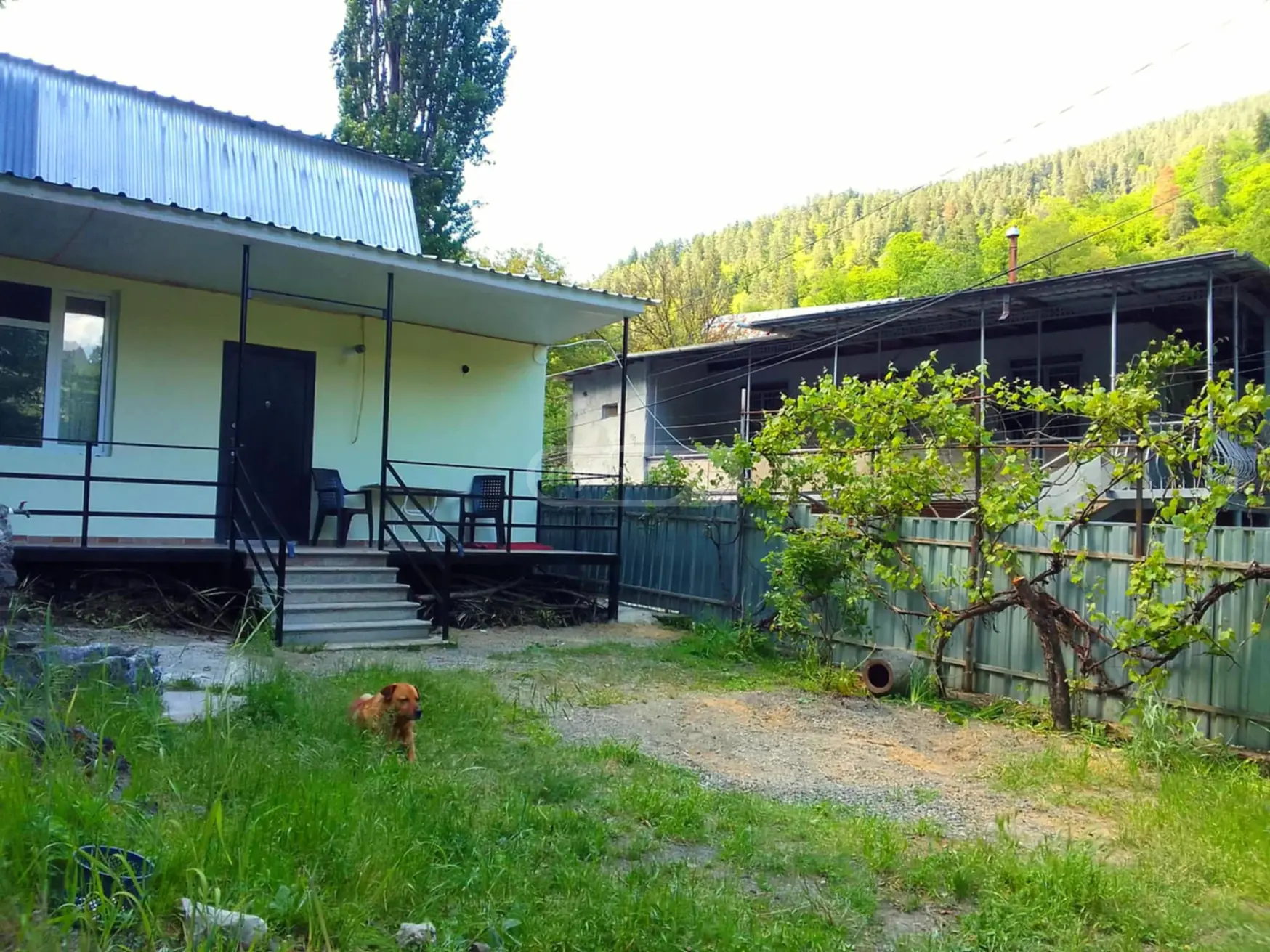 6 Room Private House For Rent In Borjomi view 11