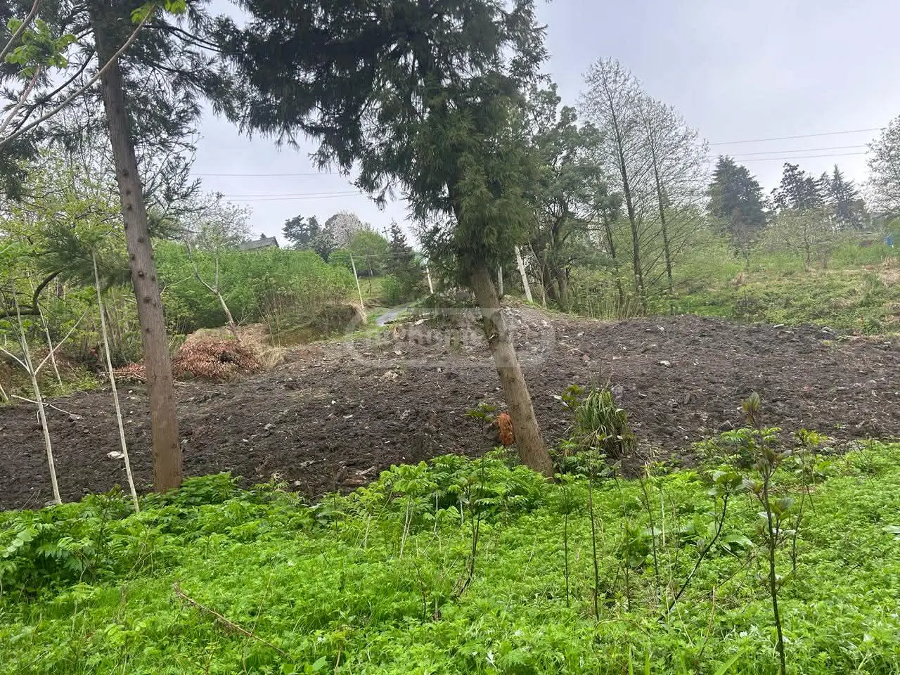 Agricultural Plot For Sale In Makhinjauri, In Batumi view 1