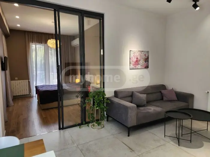2 Room Apartment For Rent In Tskneti view 10