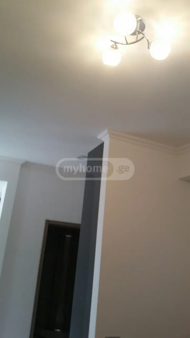 2 Room Apartment For Rent In Digomi view 15