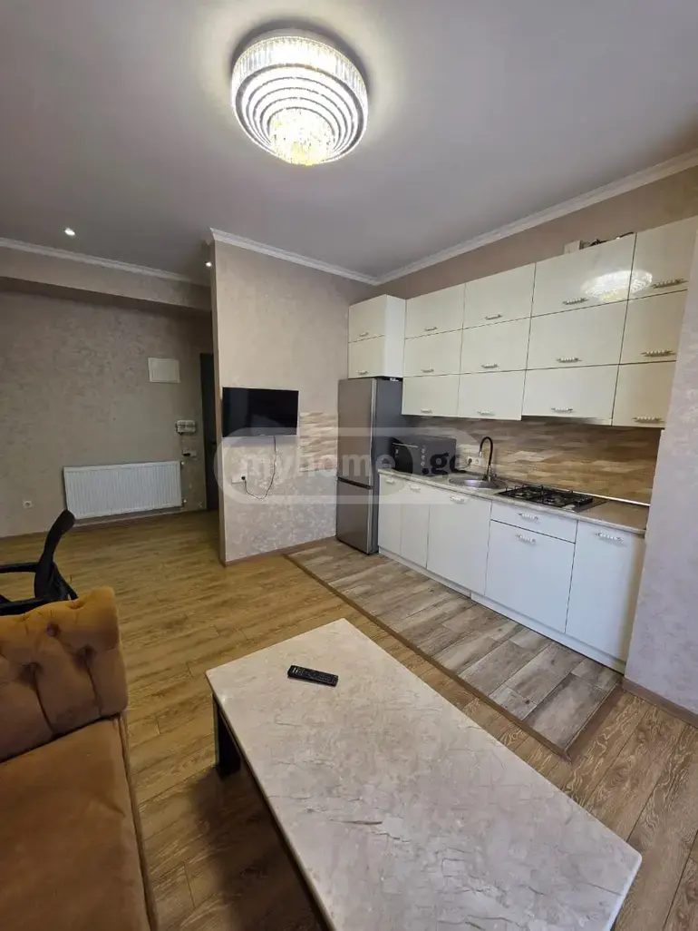 2 Room Apartment For Rent In Digomi view 3