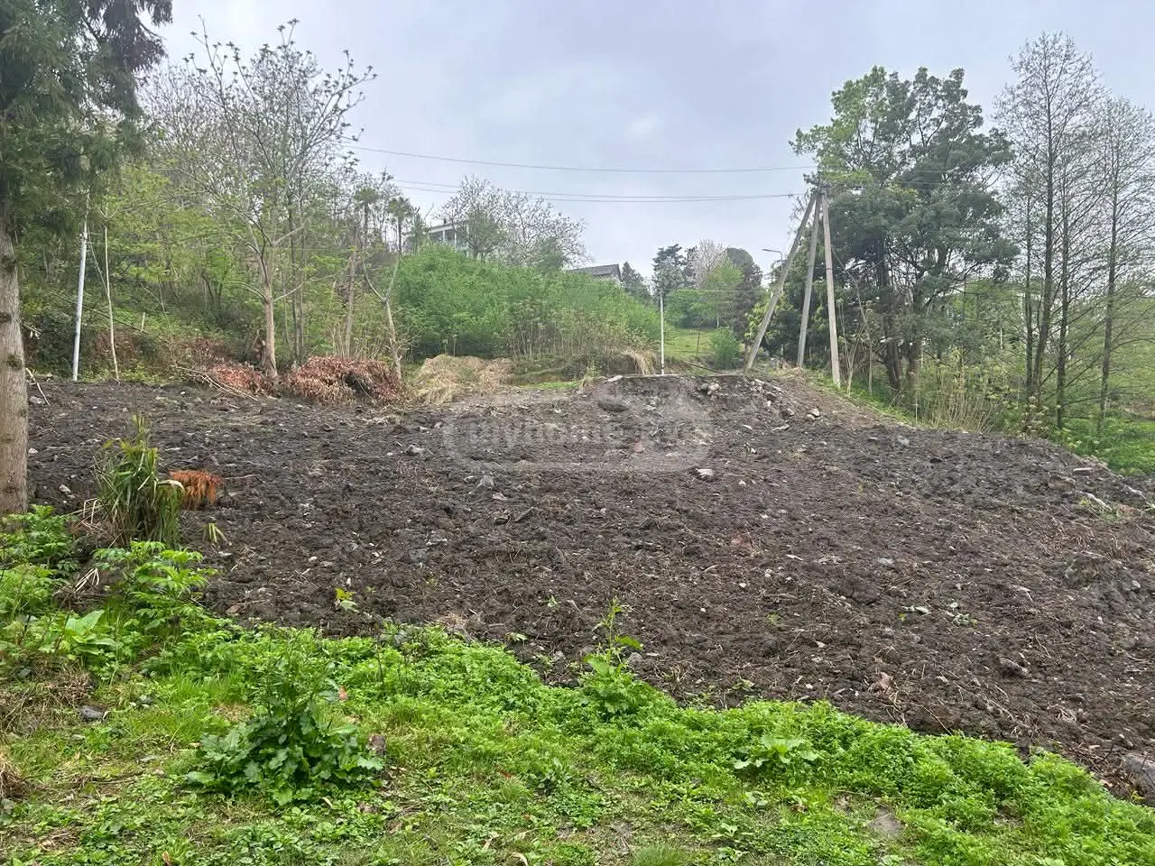 Agricultural Plot For Sale In Makhinjauri, In Batumi view 4