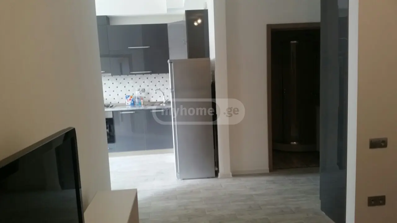 2 Room Apartment For Rent In Digomi view 12